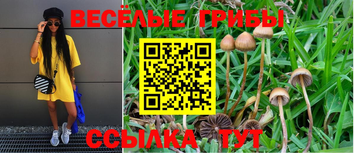 ГАШ  Марихуана  КОКАИН  Вход с VPN  Северск  Меф МЯУ МЯУ  