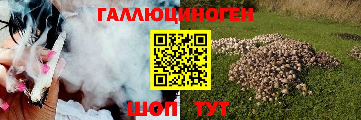 даркнет сайт  Галлюциногенные грибы Psilocybine cubensis  Вход с VPN  Северск 