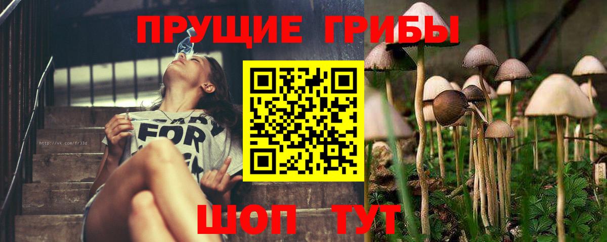 Псилоцибиновые грибы мицелий Северск